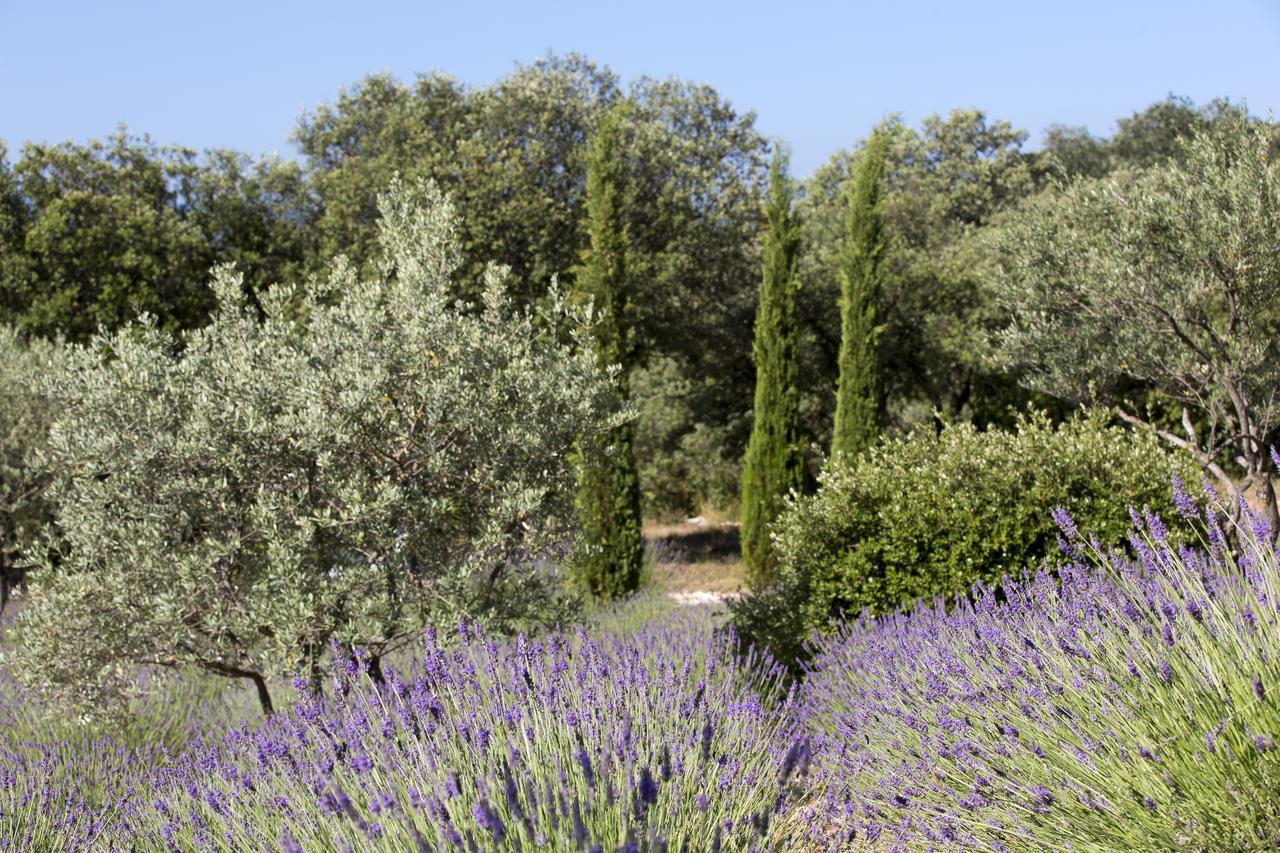 La Cle Des Champs, Boutique Hotel & Spa - Le Mas De Garrigon Roussillon (Vaucluse) Exterior foto